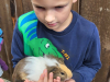 IMG-0eaee44428e4d4c2c5299ef5e242c2ce-V